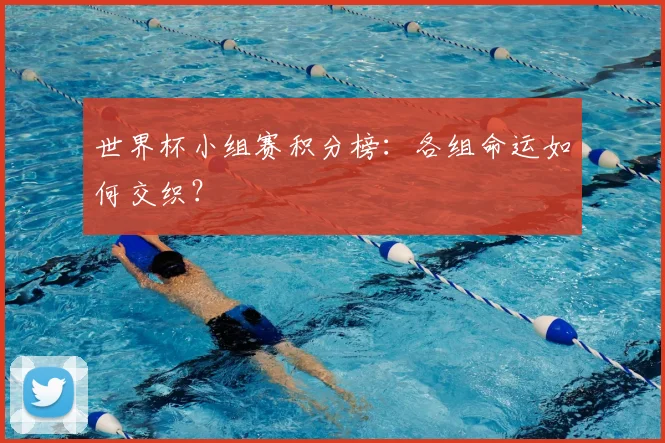 世界杯小组赛积分榜:各组命运如何交织?