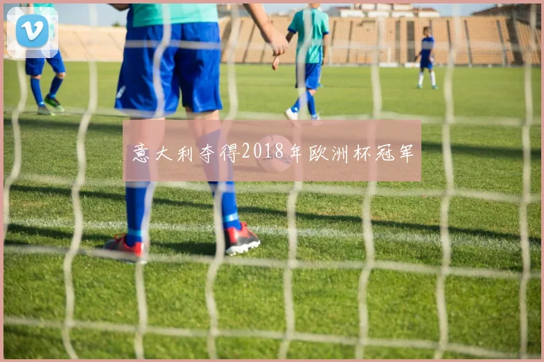 意大利夺得2018年欧洲杯冠军