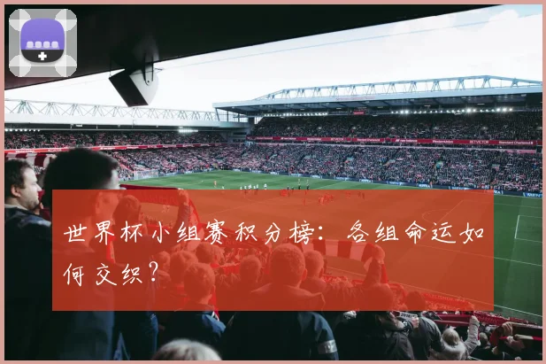 世界杯小组赛积分榜:各组命运如何交织?