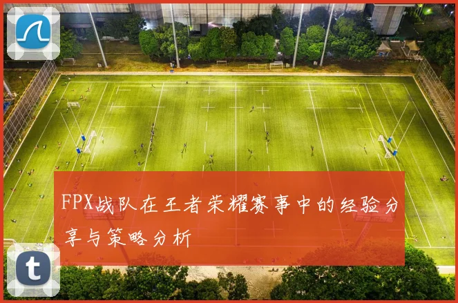 FPX战队在王者荣耀赛事中的经验分享与策略分析