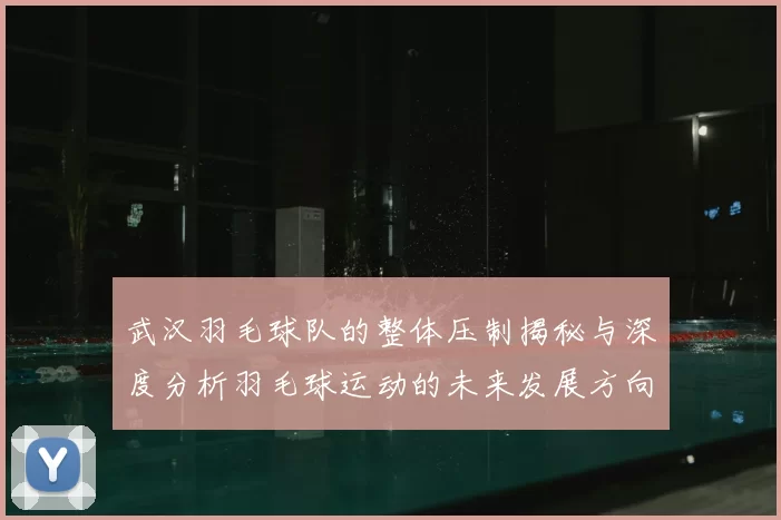 武汉羽毛球队的整体压制揭秘与深度分析羽毛球运动的未来发展方向