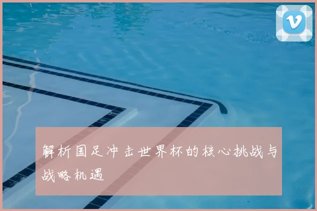 解析国足冲击世界杯的核心挑战与战略机遇