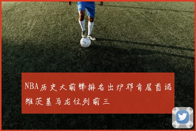 NBA历史大前锋排名出炉邓肯居首诺维茨基马龙位列前三