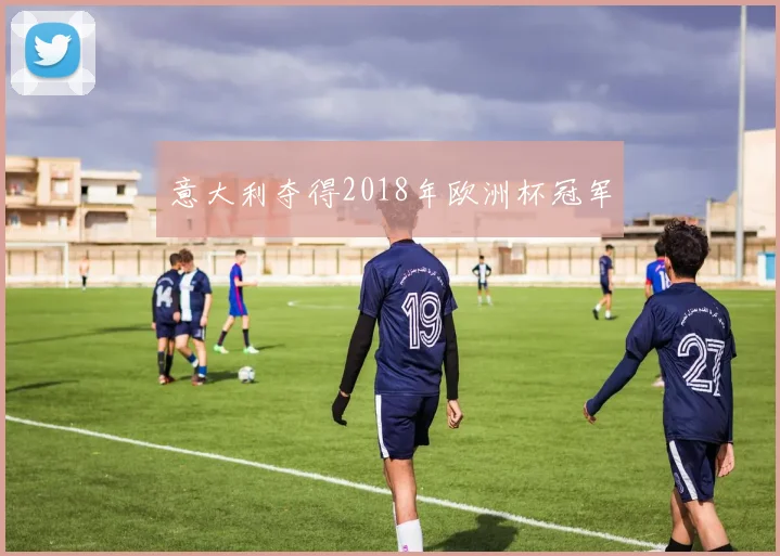 意大利夺得2018年欧洲杯冠军