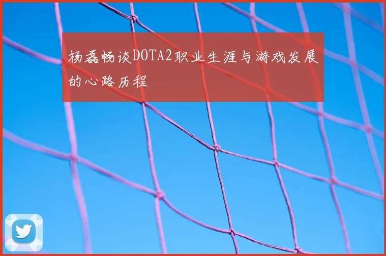 杨磊畅谈DOTA2职业生涯与游戏发展的心路历程