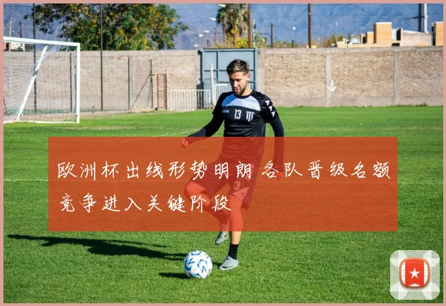 欧洲杯出线形势明朗 各队晋级名额竞争进入关键阶段